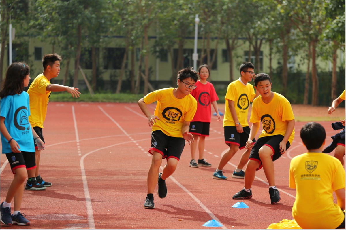深圳瑞得福学校 RDFIS