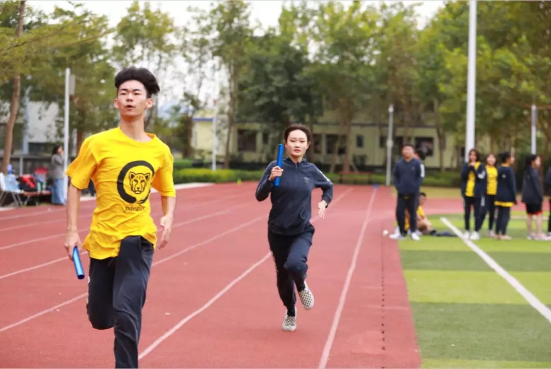 深圳瑞得福学校 RDFIS